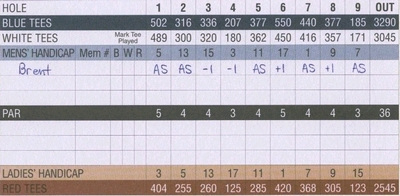 球技-高尔夫记分方法（3）比洞赛记分及胜负标准