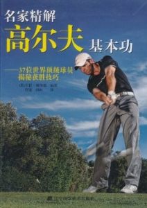 名家精解高尔夫基本功