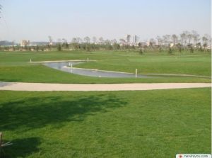 小型高尔夫球场