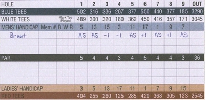 球技-高尔夫记分方法（3）比洞赛记分及胜负标准