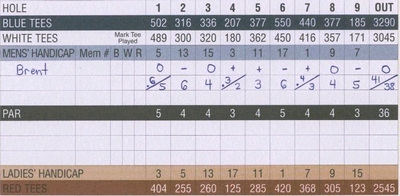 球技-高尔夫记分方法（3）比洞赛记分及胜负标准