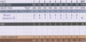 史特伯弗记分系统