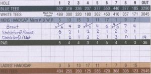 史特伯弗记分系统