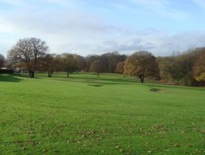 高尔夫公共球场