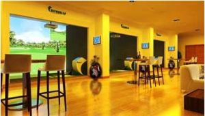 模拟高尔夫系统场地