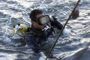 高尔夫球潜水员