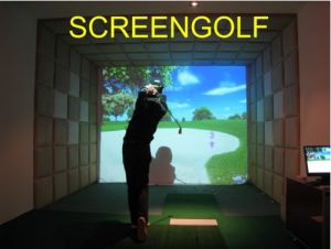 屏幕高尔夫实景图片