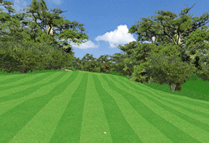 高尔夫模拟器显示风景