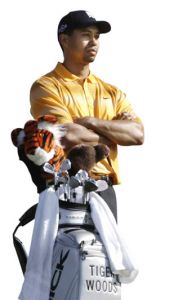 NEC邀请赛上夺冠装备